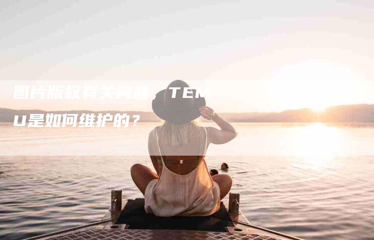 图片版权有关问题，TEMU是如何维护的？