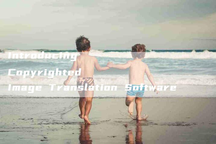 Introducing Copyrighted Image Translation Software